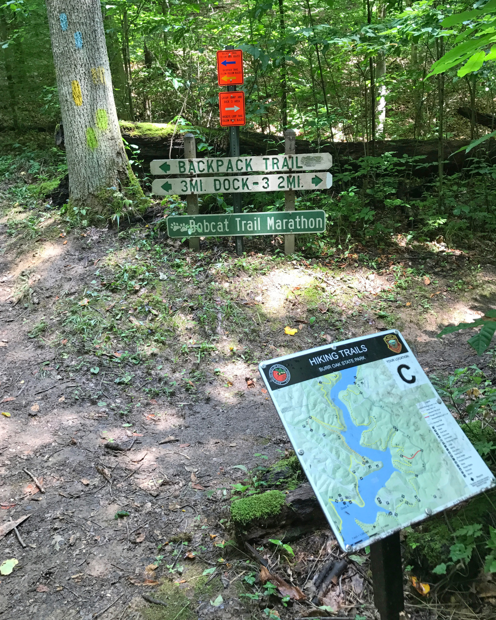 Wayne National Forest Trail Map | tunersread.com