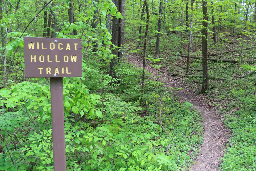 Wildcat hollow shop hiking trail